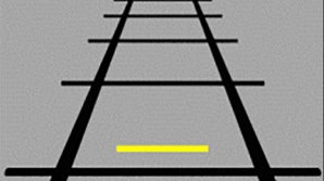 O iluzie optică face furori pe Facebook. Care linie din această imagine este mai mare?