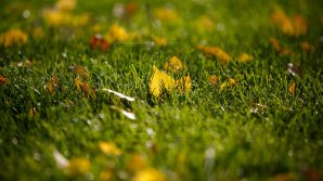 Săptămâna începe cu temperaturi mai mult decât plăcute. Câte grade vor indica termometrele