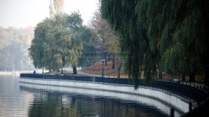 O sculptură creată de un artist moldovean va apărea în Parcul Valea Morilor (FOTO)