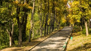 METEO 10 octombrie: Cum va fi vremea în țară și câte grade vor indica termometrele