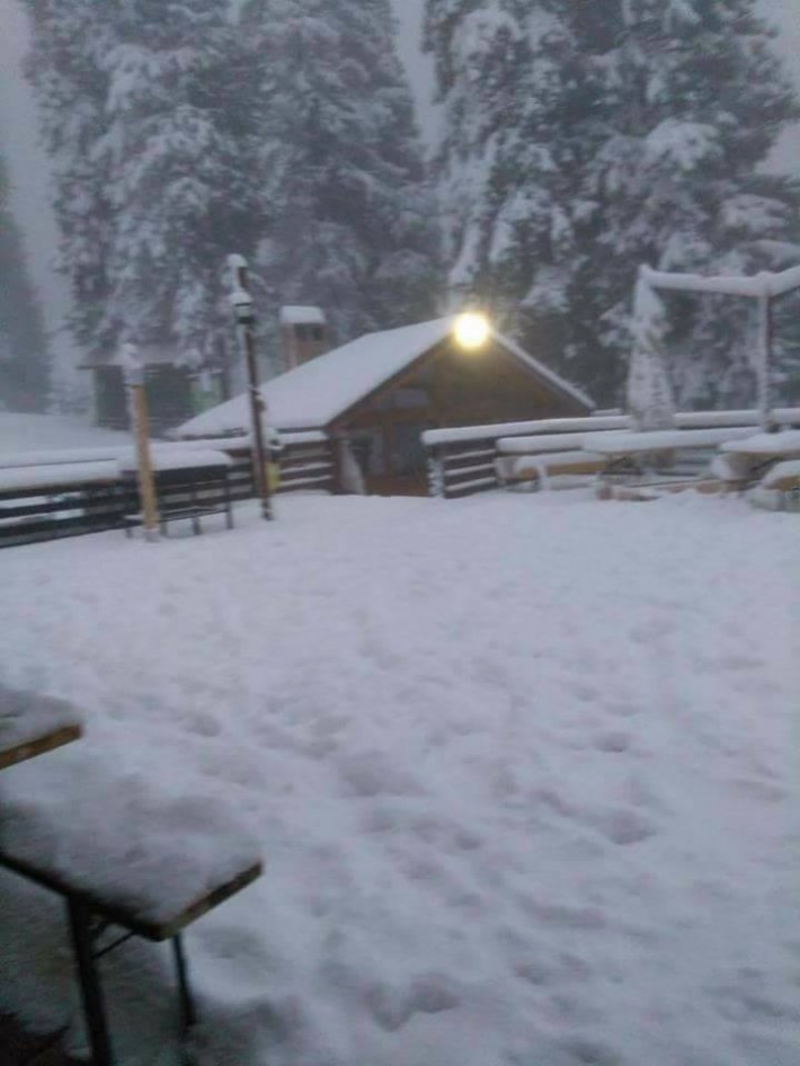 IMAGINI rupte din POVESTE cu ninsoarea căzută în această dimineață în România (FOTO)