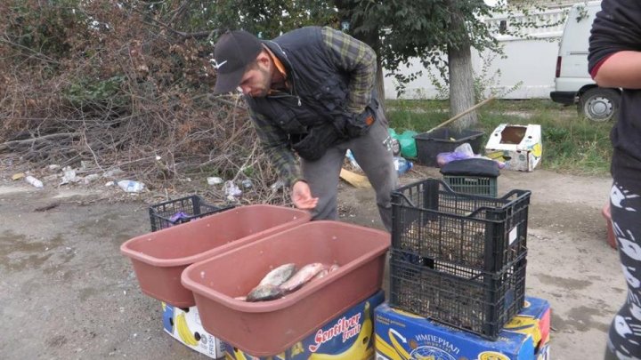 Razii pe Calea Basarabiei. Un vânzător de peşte s-a prezentat drept "poliţist", apoi s-a făcut nevăzut (FOTO)