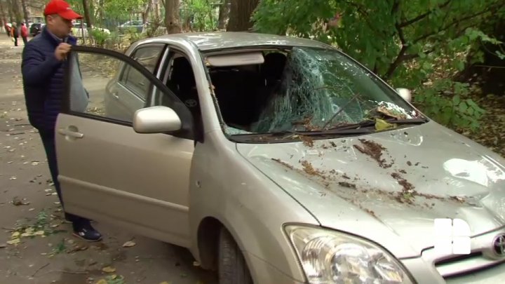 Un copac s-a prăbuşit peste o maşină. Şoferul şi copilul său au scăpat ca prin minune după ce au ieşit din automobil cu câteva minute mai devreme (FOTO)