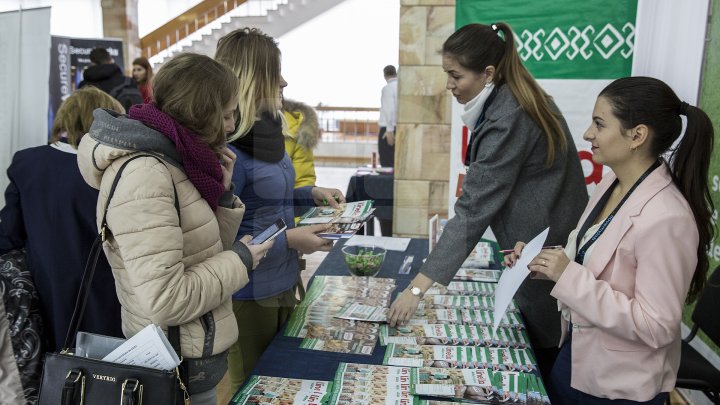 TÂRG DE CARIERE MOLDO-ROMÂN. Doritorii de a-şi găsi un loc de muncă vor putea alege din peste 2.000 de oferte