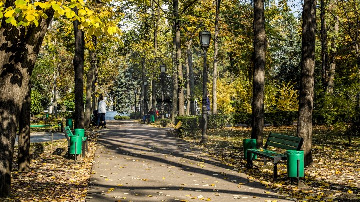 O altă faţă a Chişinăului! Grădina publică Ştefan cel Mare şi parcul Catedralei, curăţate de gherete