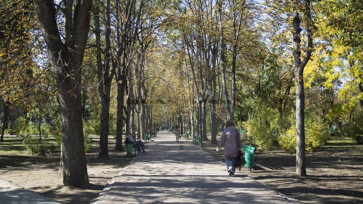 O altă faţă a Chişinăului! Grădina publică Ştefan cel Mare şi parcul Catedralei, curăţate de gherete