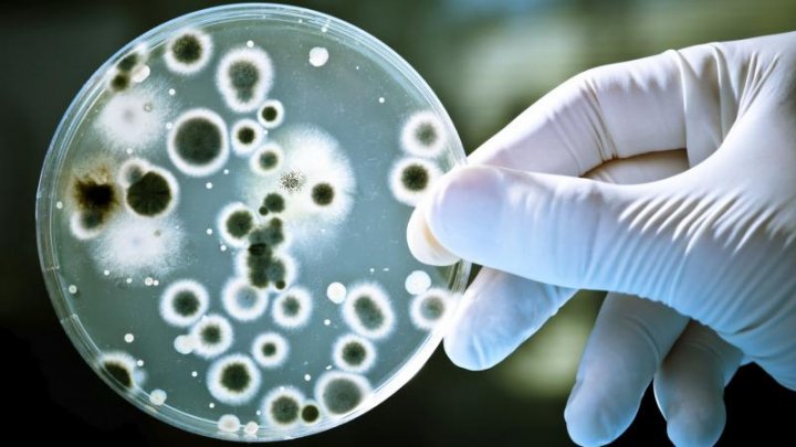 Superantibioticul minune. Medicamentul ar putea stopa o apocalipsă bacteriană