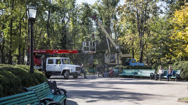 Campania de curăţare a parcului central continuă. Peste 40 de percheziţii au avut loc în centrul Capitalei