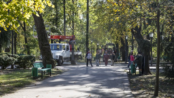 Campania de curăţare a parcului central continuă. Peste 40 de percheziţii au avut loc în centrul Capitalei