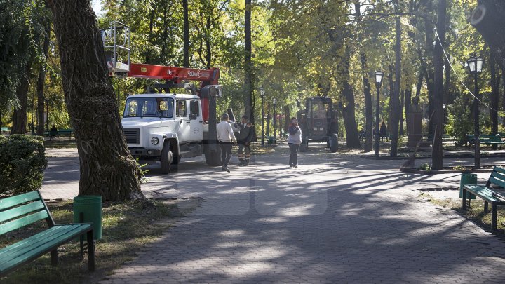 Campania de curăţare a parcului central continuă. Peste 40 de percheziţii au avut loc în centrul Capitalei