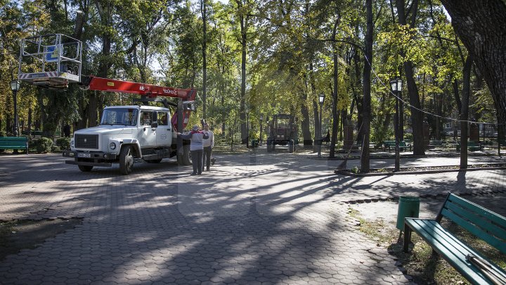 Campania de curăţare a parcului central continuă. Peste 40 de percheziţii au avut loc în centrul Capitalei