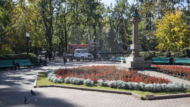 Campania de curăţare a parcului central continuă. Peste 40 de percheziţii au avut loc în centrul Capitalei