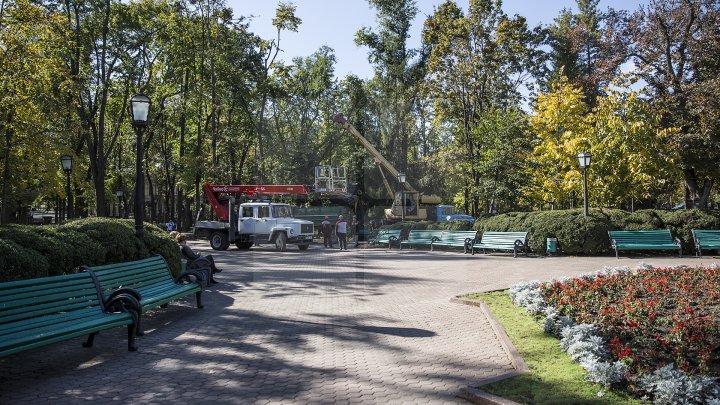 Campania de curăţare a parcului central continuă. Peste 40 de percheziţii au avut loc în centrul Capitalei