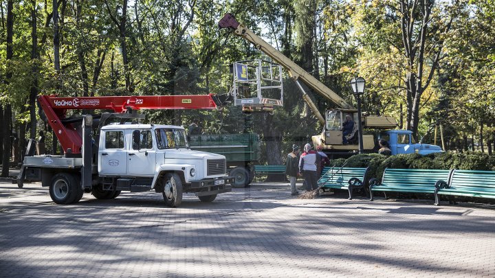 Campania de curăţare a parcului central continuă. Peste 40 de percheziţii au avut loc în centrul Capitalei