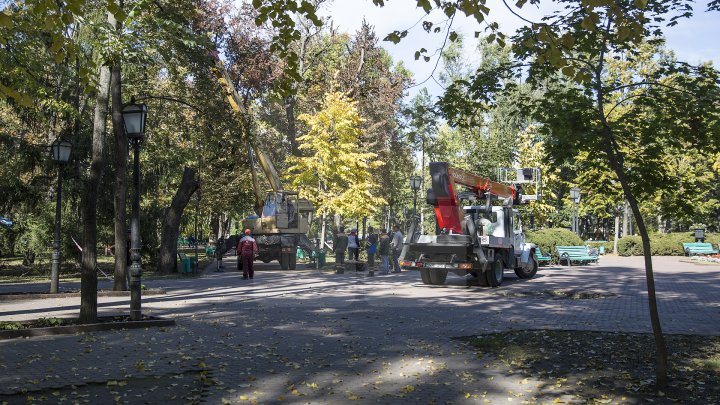 Campania de curăţare a parcului central continuă. Peste 40 de percheziţii au avut loc în centrul Capitalei