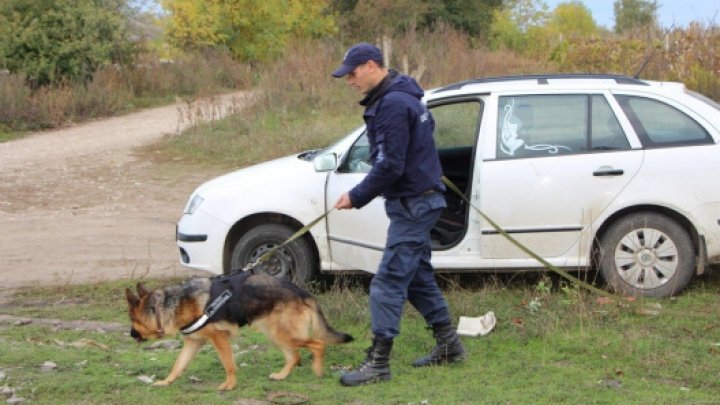 Şofer cu creier de mafiot. Ce idee trăsnită a avut pentru a scăpa basma curată după ce a furat struguri