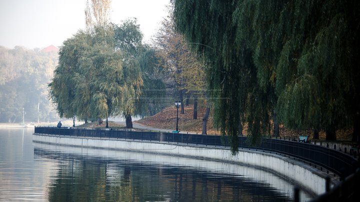 O sculptură creată de un artist moldovean va apărea în Parcul Valea Morilor (FOTO)