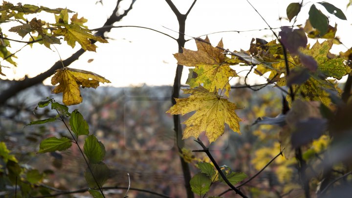 Cum ne surprinde vremea în următoarele zile şi câte grade vor indica termometrele