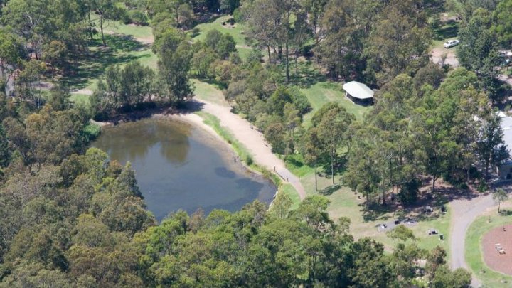 Incredibil! Ce fură australienii din parcurile zoo