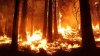 Noile incendii din California iau amploare. 27 de mii de oameni evacuaţi, iar 150 de clădiri distruse 
