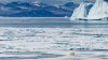 Anomalii termice semnificative la Polul Nord! Întreaga planetă va fi afectată