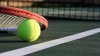 Echipa națională de tenis feminin a Cehiei a acces în semifinalele FED Cup