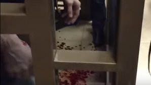 JUDECATĂ SÂNGEROASĂ în Rusia. Şase bărbaţi ŞI-AU TĂIAT VENELE la o şedinţă de judecată