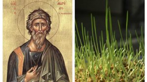 De ce trebuie să punem grâul la încolţit de Sfântul Andrei! Tradiţia care nu moare niciodată