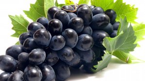 Strugurii moldovenești, pe rafturile din Dubai. Mai mulți producători din Costești au exportat peste 19 tone de fructe