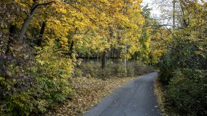 METEO 4 noiembrie: Vreme frumoasă în toată ţara. Cum va fi vremea în următoarele zile