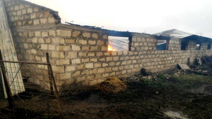 Incendiu puternic la o fermă din Rezina. Trei porci morţi şi mii de baloţi de paie făcute scrum (FOTO)