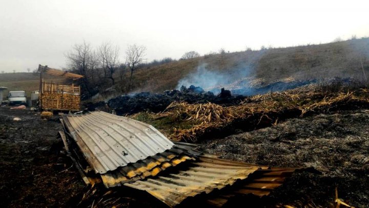 Incendiu puternic la o fermă din Rezina. Trei porci morţi şi mii de baloţi de paie făcute scrum (FOTO)