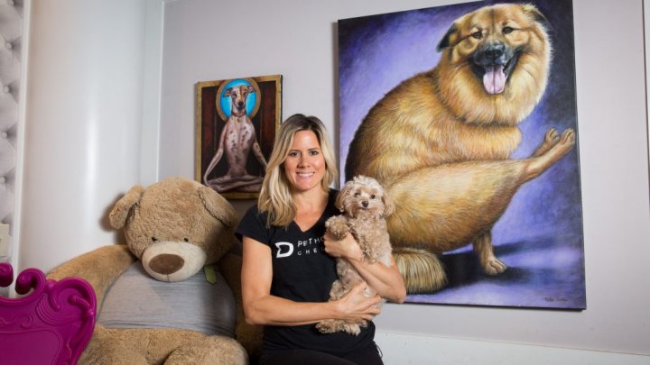 Un adevărat răsfăț pentru patrupezi. Cum arată un hotel de lux pentru căței (FOTO)