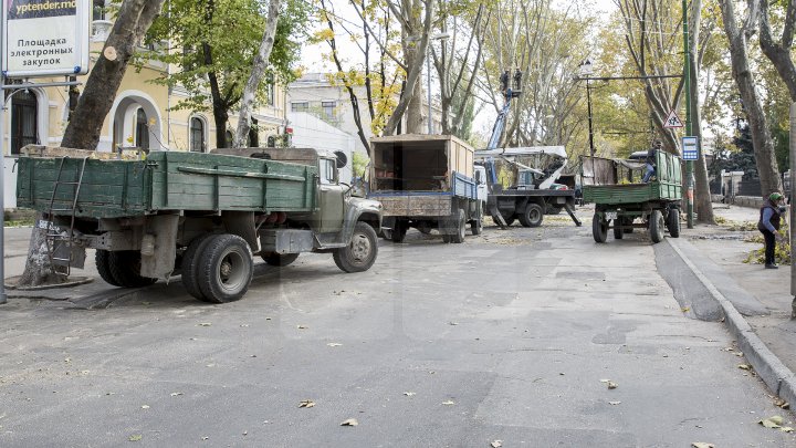 Forfotă mare în Capitală. Autorităţile au început pregătirile pentru Târgul de Crăciun de pe 31 august (FOTOREPORT)