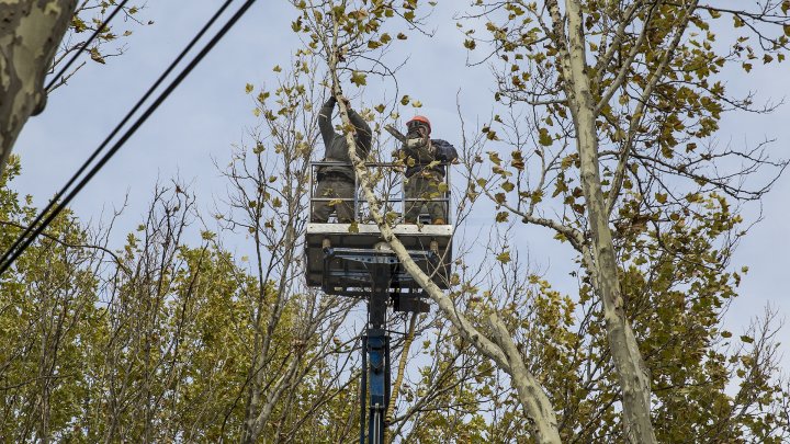 Forfotă mare în Capitală. Autorităţile au început pregătirile pentru Târgul de Crăciun de pe 31 august (FOTOREPORT)