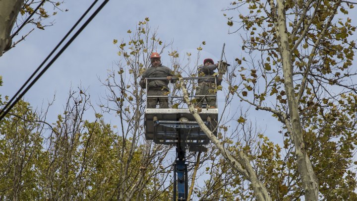 Forfotă mare în Capitală. Autorităţile au început pregătirile pentru Târgul de Crăciun de pe 31 august (FOTOREPORT)