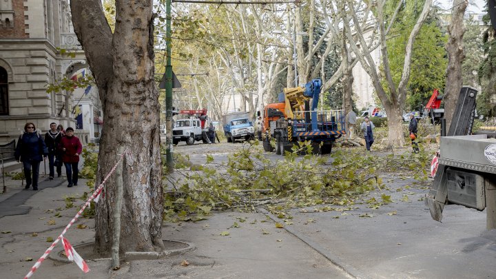 Autorităţile au început pregătirile pentru Târgul de Crăciun, pe strada 31 august din Capitală