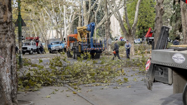 Forfotă mare în Capitală. Autorităţile au început pregătirile pentru Târgul de Crăciun de pe 31 august (FOTOREPORT)