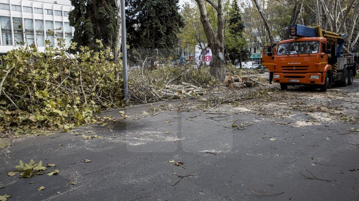 Forfotă mare în Capitală. Autorităţile au început pregătirile pentru Târgul de Crăciun de pe 31 august (FOTOREPORT)