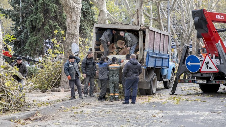 Forfotă mare în Capitală. Autorităţile au început pregătirile pentru Târgul de Crăciun de pe 31 august (FOTOREPORT)