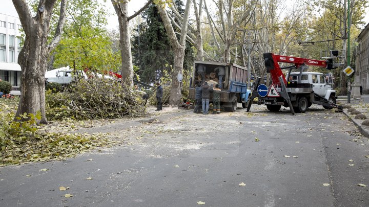 Forfotă mare în Capitală. Autorităţile au început pregătirile pentru Târgul de Crăciun de pe 31 august (FOTOREPORT)