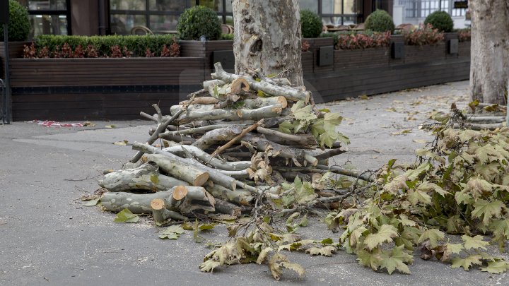 Forfotă mare în Capitală. Autorităţile au început pregătirile pentru Târgul de Crăciun de pe 31 august (FOTOREPORT)