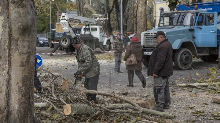 Forfotă mare în Capitală. Autorităţile au început pregătirile pentru Târgul de Crăciun de pe 31 august (FOTOREPORT)