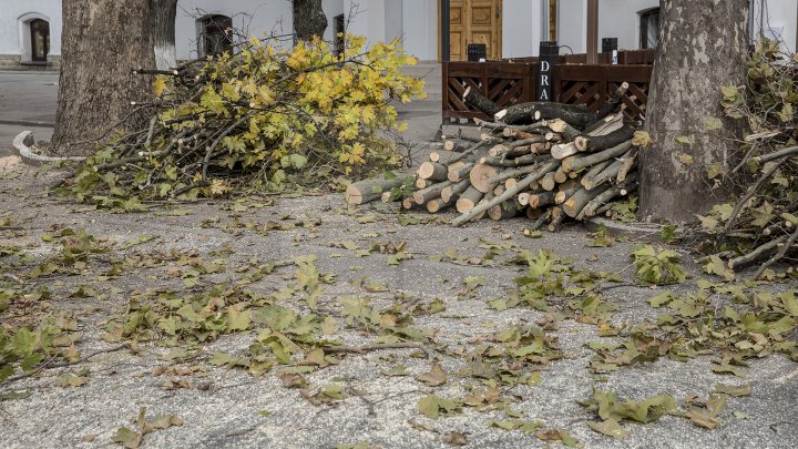 Forfotă mare în Capitală. Autorităţile au început pregătirile pentru Târgul de Crăciun de pe 31 august (FOTOREPORT)