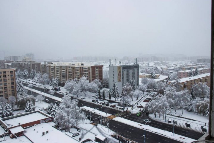 Ninsori şi ploi abundente în România. Mii de case au rămas fără energie electrică (FOTO)