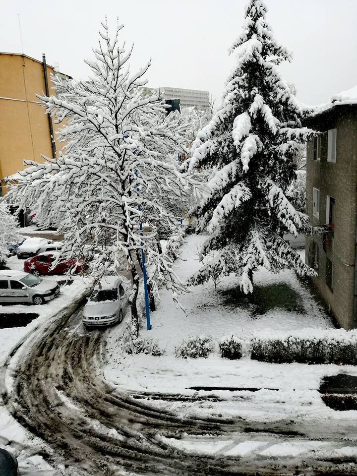 Ninsori şi ploi abundente în România. Mii de case au rămas fără energie electrică (FOTO)