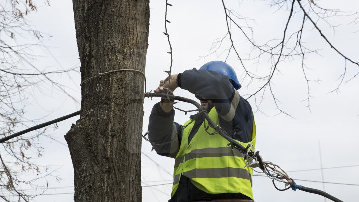 CAPITALA, GATA DE SĂRBĂTORI. În acest an, vor fi instalate 70 de mii de luminițe (FOTOREPORT)