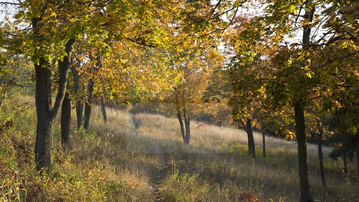 VEŞTI BUNE de la meteo, VREMEA SE ÎNCĂLZEŞTE. Care vor fi maximele termice în următoarele zile