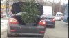 Imaginea zilei. Cum transportă un șofer pomul de Craciun prin oraș cu mașina (FOTO)