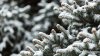 METEO 18 decembrie 2017. Ninge slab în toată ţara. Câte grade vor indica termometrele